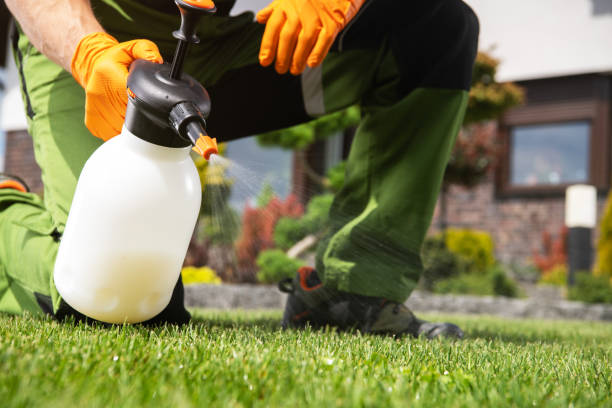 Trusted Ottawa Hills, OH Pest Control Experts